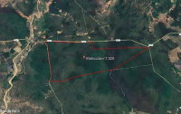 Imóvel Rural sem benfeitorias, 440 hectares, Retiro de Cima