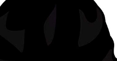 Lote de 400 kg de Sacos de Lixo Novos