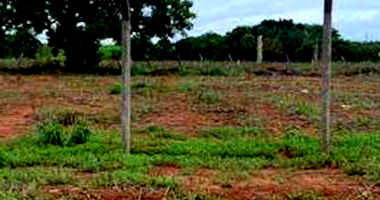 Terreno Amplo no Jardim América