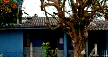 Casa Ocupada com 3 Quartos e 2 Banheiros em Sapiranga/RS