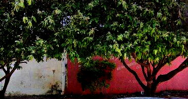 Espaçoso Imóvel Comercial com Quadra Poliesportiva e Residência em 712m²