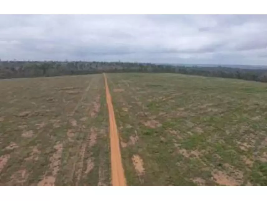 Área Rural em Leilão com 100,52ha