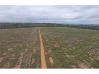 Área Rural em Leilão com 100,52ha