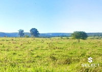 Fazenda Flor da Serra com 362 ha, ideal para pecuária