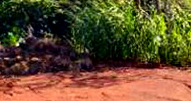 Terreno Urbano com 794,28m² em Dois Vizinhos-PR