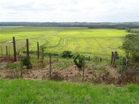 Terreno Rural com 26,5 ha em Encruzilhada do Sul