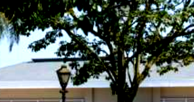 Casa residencial 4 quartos 3 banheiros 365m² área construída, ocupada