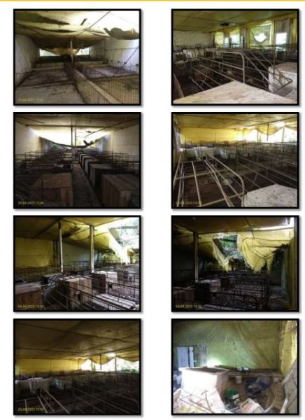 Fazenda Rural com 3 Casas e Pocilgas, 201.500m², necessita reparos