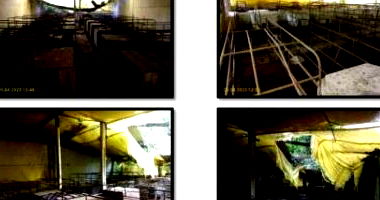 Fazenda Rural com 3 Casas e Pocilgas, 201.500m², necessita reparos