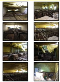 Fazenda Rural com 3 Casas e Pocilgas, 201.500m², necessita reparos