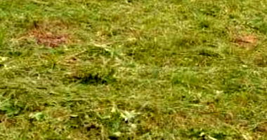 Terreno Urbano 420m² em Urussanga