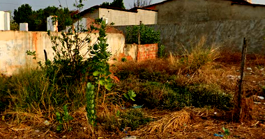 Terreno amplo com 402,80 m² no Centro, desocupado