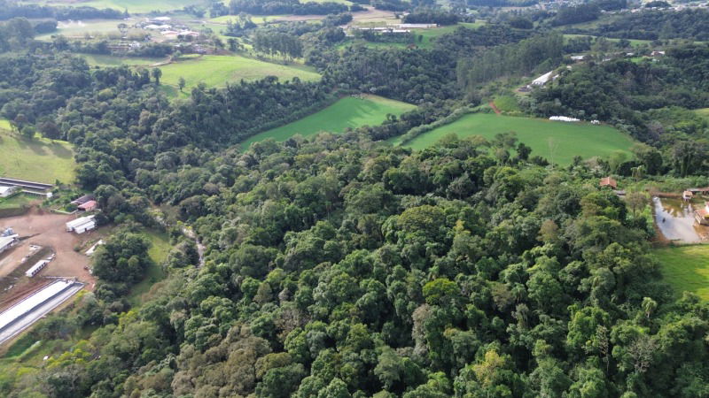 Imóvel Rural com 80.000m² em Cunhataí - Terreno amplo e valorizado