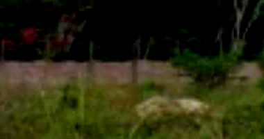 Terreno 170m² com ocupação, ideal para investimento