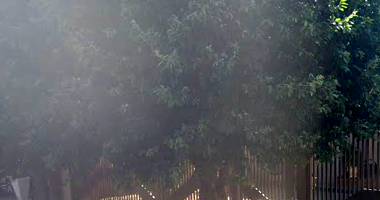 Casa com 3 Quartos em Carneirinhos/MG