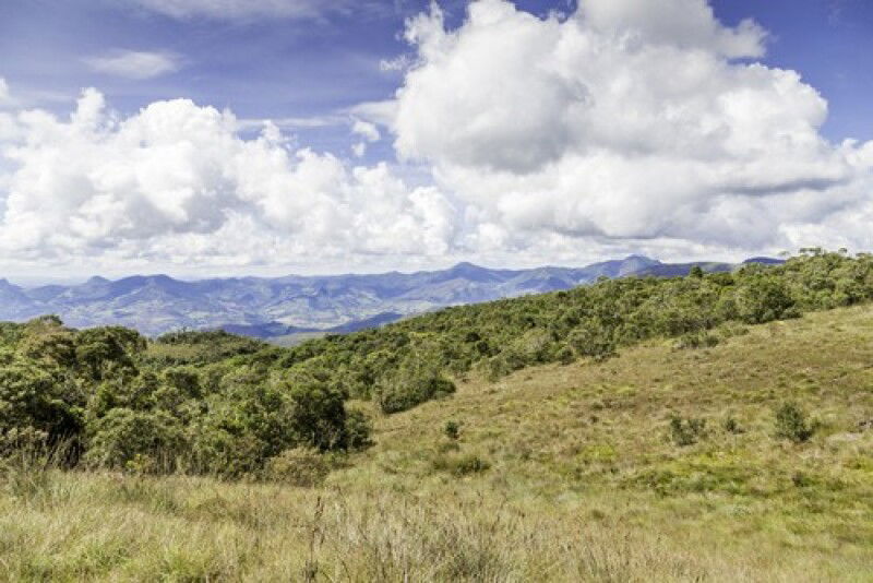 Imóvel Rural com 153,33 Hectares em Nova Roma/GO