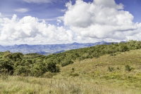 Imóvel Rural com 153,33 Hectares em Nova Roma/GO