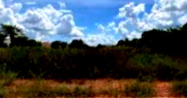 Lote desocupado de 450m² em Cerejeiras/RO