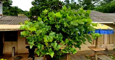 Casa 153 m² - Centro - Oportunidade Imperdível!