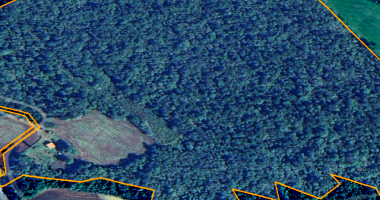 Sítio Rural com 31,36 Hectares em Fernandes Pinheiro/PR