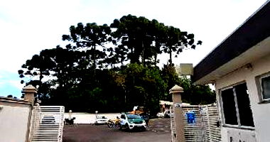 Apartamento com 2 quartos em Curitiba