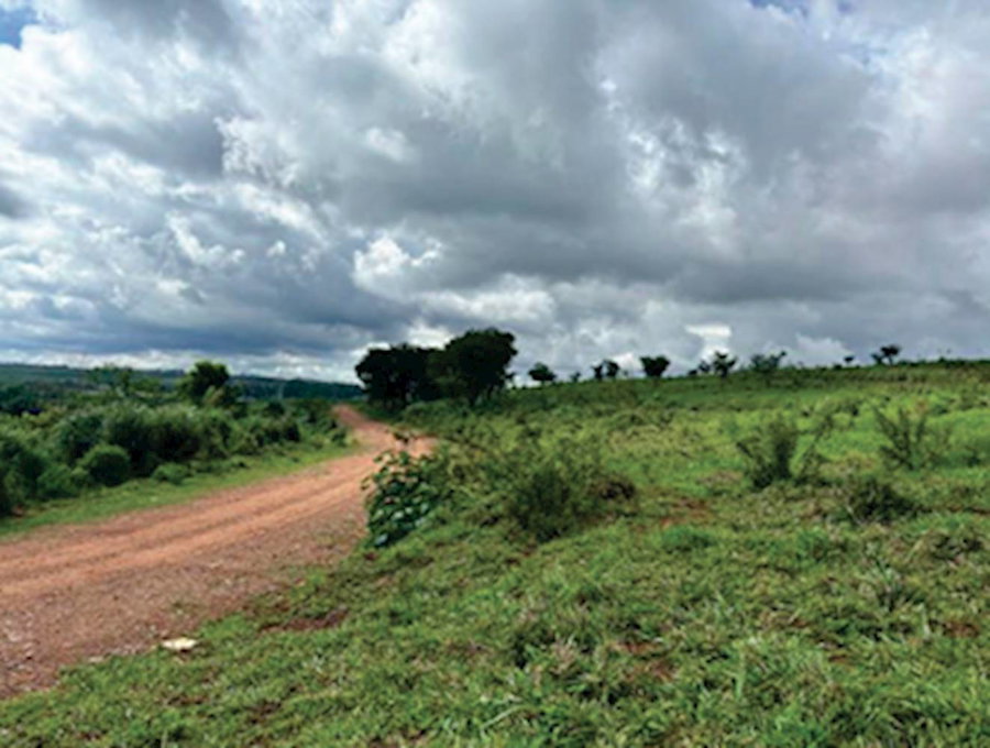 Terreno em São Carlos/SP com 303.910m²