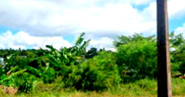 Terreno com 465 m² em São Miguel do Oeste - SC