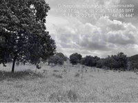 Gleba Rural 17 hectares em Guarinos/GO - Lance Inicial R$1.050.000