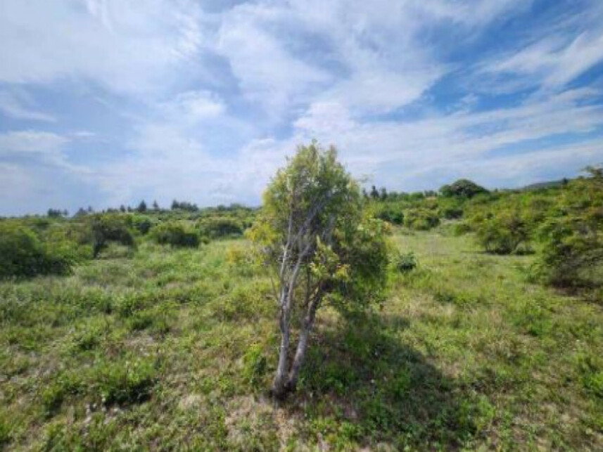 Terreno com 10.530,08m² em Santa Maria