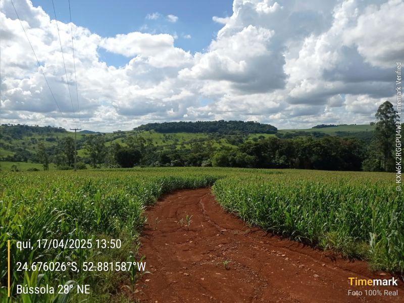 Imóvel Rural com 60.500 m² em Campina da Lagoa/PR