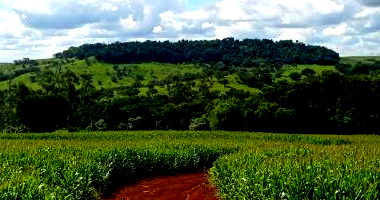 Imóvel Rural com 60.500 m² em Campina da Lagoa/PR