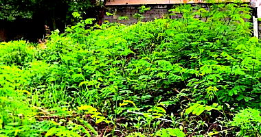 Terreno com 667,08m² em Sorocaba-SP