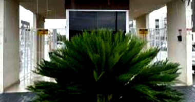 Apartamento com 2 quartos em Campo Largo/PR