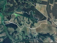 Fazenda Conquista com 393 ha, 15 quartos, 9 suítes e piscina