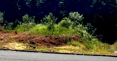 Terreno Urbano 325m² em área valorizada, parte alta, desocupado