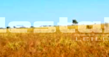 Fazenda em Poconé/MT com 152 hectares