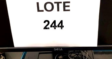 Lote 244: 15 Microcomputadores e 15 Monitores LCD