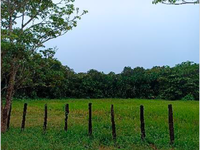 Terreno em Santa Isabel do Pará com 10.000m²