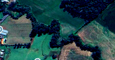 Área Rural de 19,6 Hectares com Eucaliptos em Ipuaçu/SC