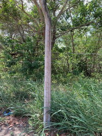 Terreno em Porto Seguro - Bahia