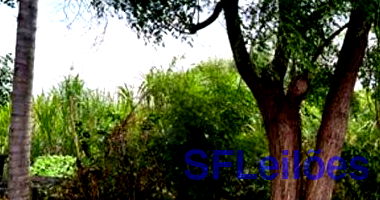 Lote Urbano com 290 m², Ideal para Desenvolvimento