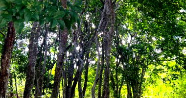 Terreno Urbano com Residência em Beberibe/CE