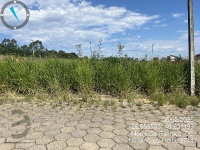 Terreno 364m² em Morro da Fumaça