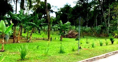 Terreno amplo de 24.455m² com grande potencial em São Francisco do Sul