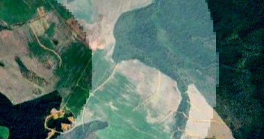 Fazenda Neem Brasil - 1.408,10 hectares com benfeitorias