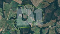 Fazenda Neem Brasil - 1.408,10 hectares com benfeitorias
