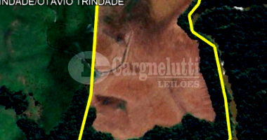 13has 50as em Rincão Guaracapá, São Nicolau/RS