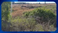 4 lotes de terreno em Candiota/RS, totalizando 16.998,74m²