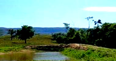 Sítio Dois Irmãos em Rio Branco/MT - 27,50 HA