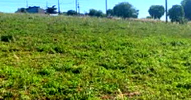 Terreno Urbano de 258,75m² em Terra Roxa/PR